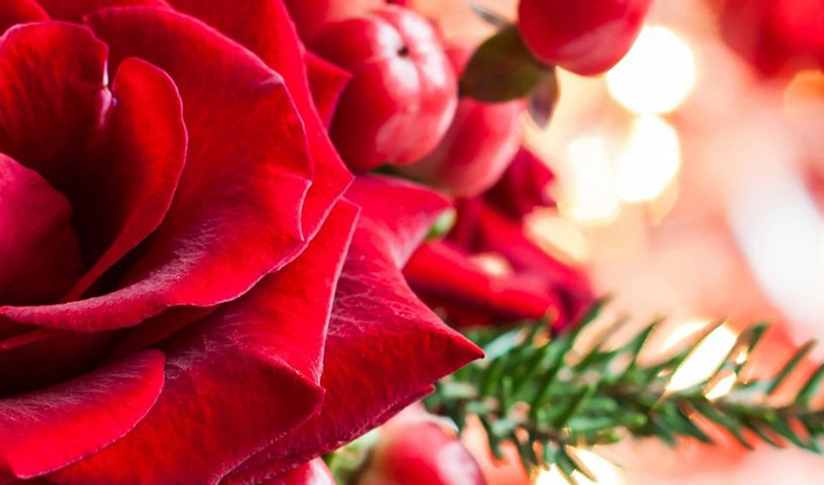 Mrs Bouquets Florist Pontypool