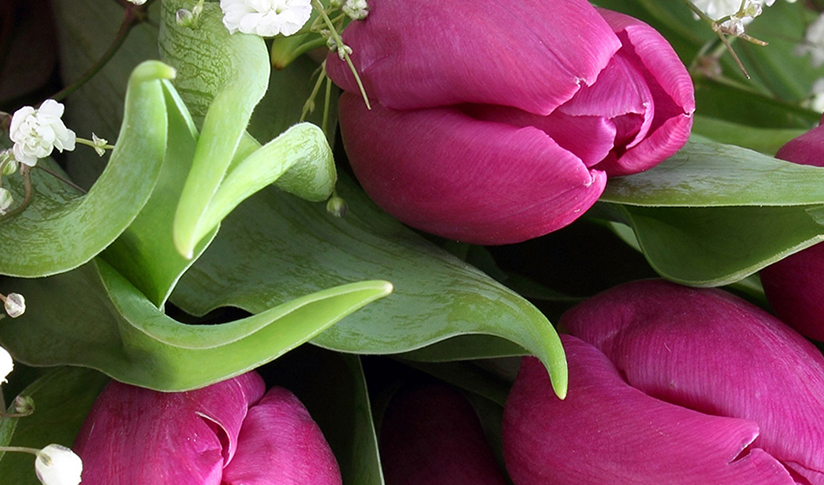 Mrs Bouquets Florist Pontypool