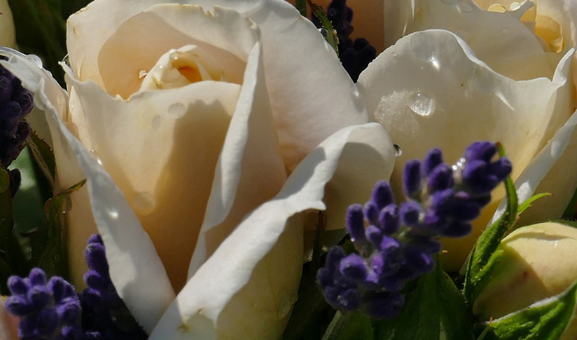 Mrs Bouquets Florist Pontypool