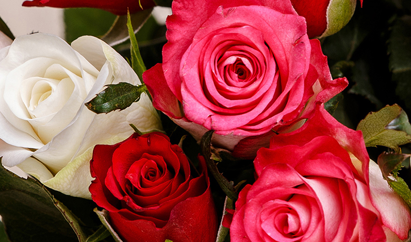 Mrs Bouquets Florist Pontypool